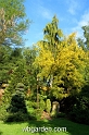 wbgarden spring 3